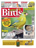 Cage & Aviary Birds